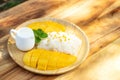 Mango with sticky rice. Favorite thai dessert in summer season. Sweet and freshness tast Royalty Free Stock Photo