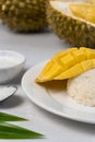 Mango sticky rice with pandan leaves, coconut milk and sugar against blurry durian fruits background
