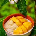 Mango Sticky Rice , a popular Thai dessert for centuries