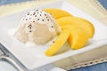 Mango Sticky Rice