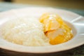 Mango with Sticky Rice Thai sweets food