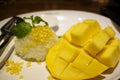 Mango sticky rice in Thailand