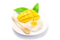 mango with sticky rice