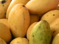 Mango Royalty Free Stock Photo