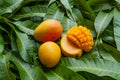 Mango tropical fruit with slice and half cut on green leaf background Royalty Free Stock Photo