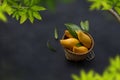 Mango tropical fruit in basket with green leaf Royalty Free Stock Photo