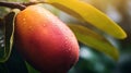 Vibrant Mango Tree With Rain Drops: A Naturalistic Landscape