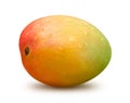 Mango with Water Drops Royalty Free Stock Photo