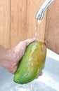 Mango with water splash on hand