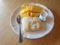 Mango whit sticky rice Royalty Free Stock Photo