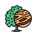 mango wood color icon vector illustration