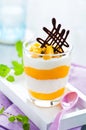 Mango-yogurt dessert Royalty Free Stock Photo