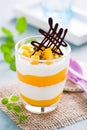 Mango-yogurt dessert Royalty Free Stock Photo
