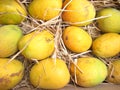 Mangoes