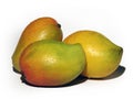 Mangoes Royalty Free Stock Photo