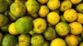 Medan oranges on local market display in Jakarta