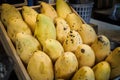 Mangoes rot Royalty Free Stock Photo