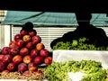 Mangoes are sold at the stall of a street fair Royalty Free Stock Photo