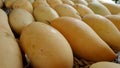 Sweet ripe mangoes Royalty Free Stock Photo