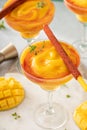 Mangonada margarita coctail, frozen mango margarita with chamoy Royalty Free Stock Photo