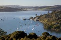 Mangonui