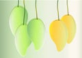 Mangos background ,green mango and yellow hanging Vector illustration