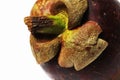 Mangostan - Exotic Fruit close up Royalty Free Stock Photo