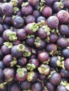 mangostan fresh fruit texture Royalty Free Stock Photo