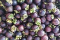 mangostan fresh fruit texture Royalty Free Stock Photo
