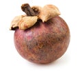 Mangosteen