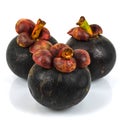 Mangosteen