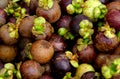 Mangosteen