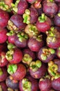 Mangosteen