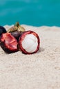 Mangosteen