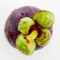 Mangosteen