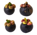 Mangosteen