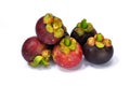 Mangosteen