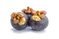 Mangosteen fruit