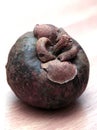 Mangosteen fruit