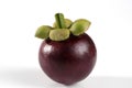 Mangosteen fruit Royalty Free Stock Photo