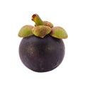 Mangosteen fruit Royalty Free Stock Photo