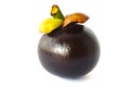 Mangosteen