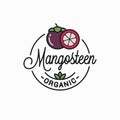 Mangosteen fruit logo. Linear of mangosteen slice Royalty Free Stock Photo