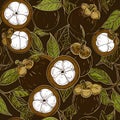Mangosteen Fruit Pattern with Leaves and Sections Royalty Free Stock Photo