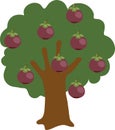 Mangosteen Fruit Tree Vector Illustration Royalty Free Stock Photo