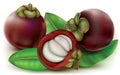 Mangosteen