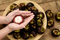 Mangosteen on hand