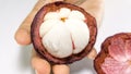 Mangosteen on hand / Mangosteen on white