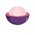 Mangosteen icon, flat style