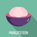 Mangosteen icon, flat style